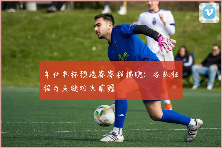 年世界杯预选赛赛程揭晓：各队征程与关键对决前瞻