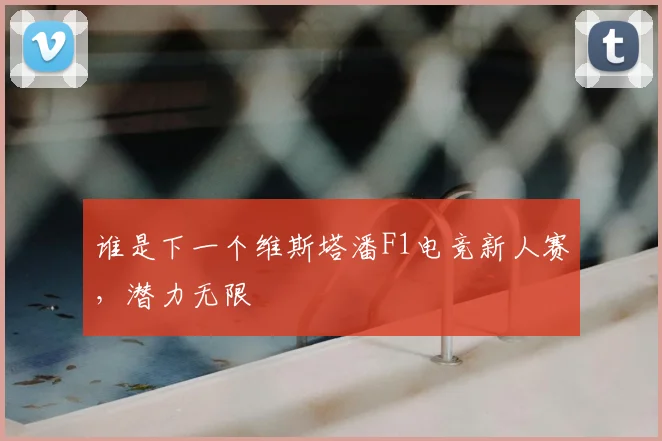谁是下一个维斯塔潘F1电竞新人赛，潜力无限